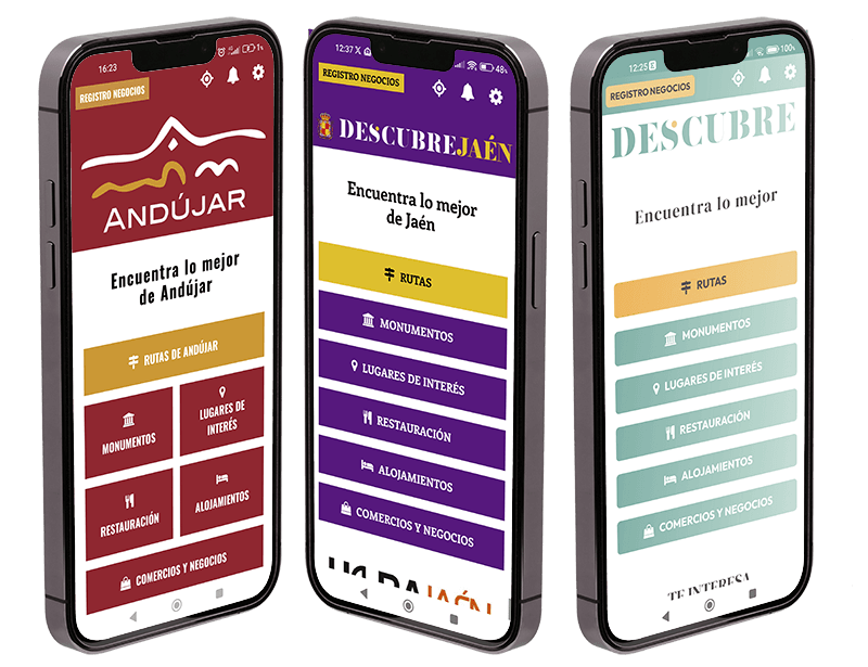 Captura de pantalla de la app Descubre para ayuntamientos