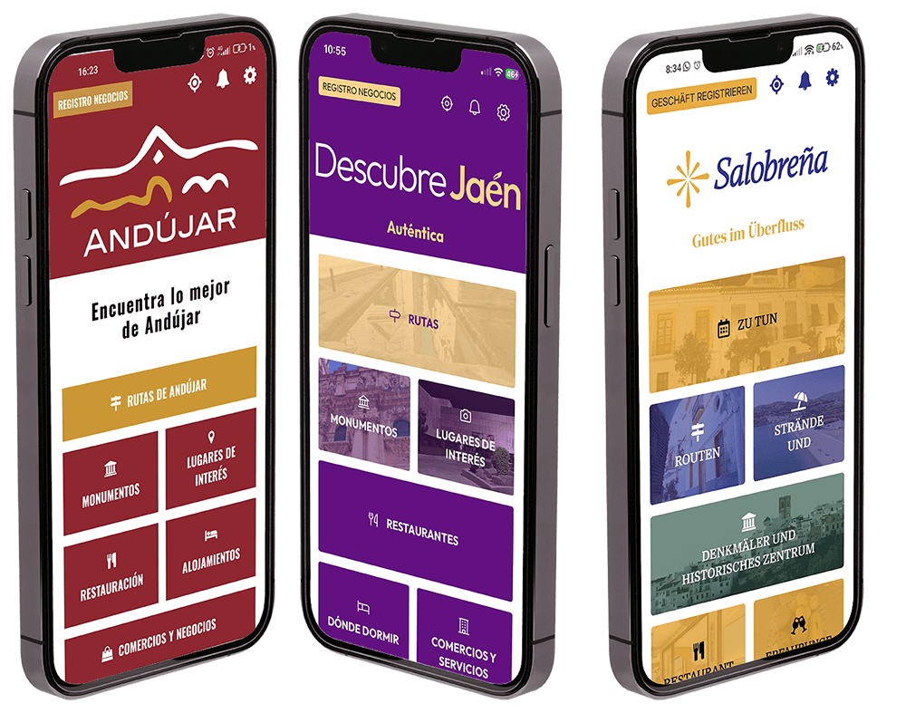 Pantalla de configuración de la identidad municipal