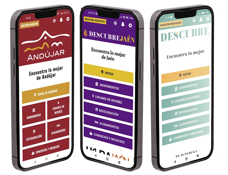 Pantalla de personalización municipal de la app de turismo Descubre con opciones de configuración
